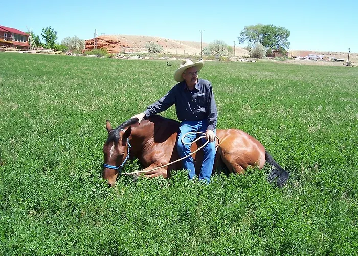 K3 Guest Ranch Cody