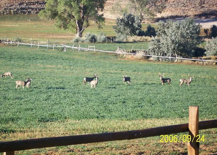 K3 Guest Ranch 2*